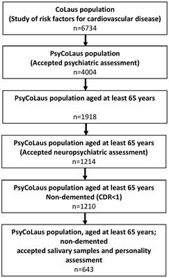 Personality, Cortisol, and Cognition in Non-demented Elderly Subjects: Results from a Population-Based Study